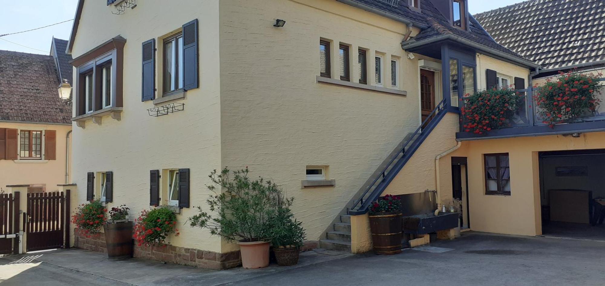 Les Hirondelles Du Mambourg Sigolsheim